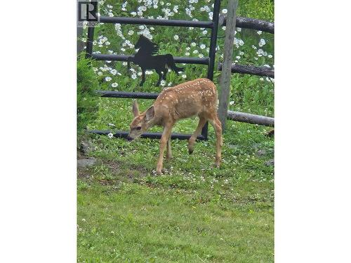 7671 Rutherford Road, Bridge Lake, BC - 