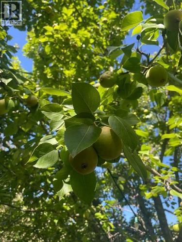 PEARS - 7 Mountain Park Circle Se, Calgary, AB - Outdoor With View