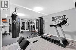 Gym Lower - 