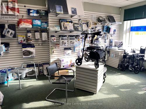 25 Commercial Street, Milton (Om Old Milton), ON 