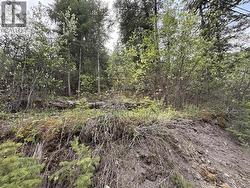 1955 S LAKESIDE DRIVE Williams Lake, BC V2G 1J1