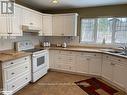 139 Trout Lane, Tiny, ON  - Indoor Photo Showing Kitchen With Double Sink 