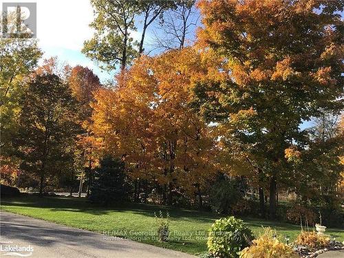 139 Trout Lane, Tiny, ON - Outdoor