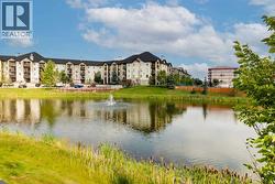 Ahhh summer... the lovely pond in front of building 8000 - 