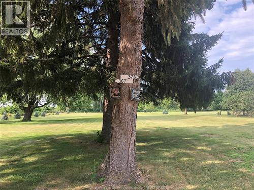 367 Martin Lane, Lasalle, ON 