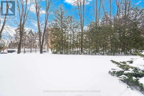 112 - 50 Baif Boulevard, Richmond Hill, ON - Outdoor With View