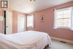 Bedroom with carpet flooring, baseboards, and a closet - 