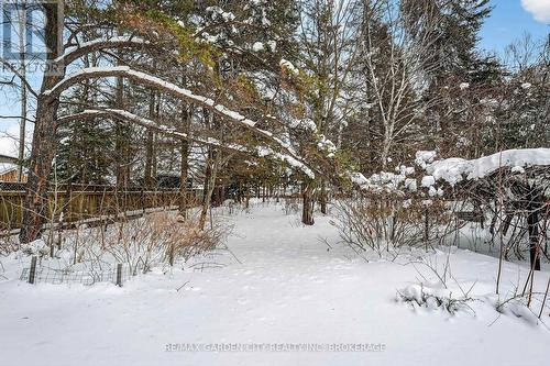 Walking paths throughout the back yard - 4864 Michelle Drive, Greater Sudbury (Sudbury), ON - Outdoor