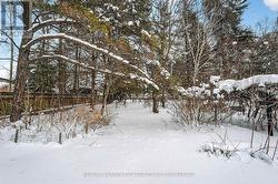 Walking paths throughout the back yard - 