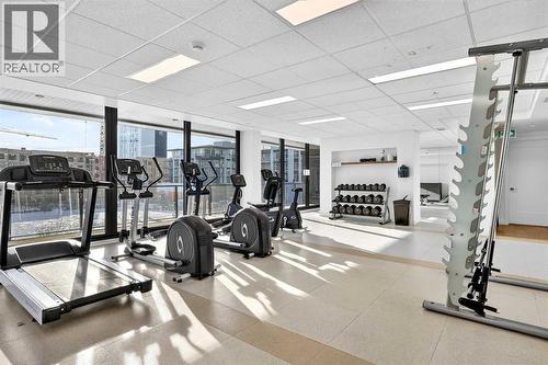 402, 21 Lebel Crescent Nw, Calgary, AB - Indoor Photo Showing Gym Room