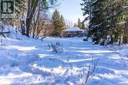 View from the backyard - 