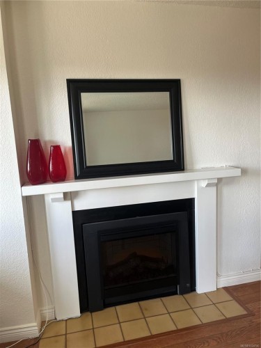 403-1560 Hillside Ave, Victoria, BC - Indoor Photo Showing Living Room With Fireplace