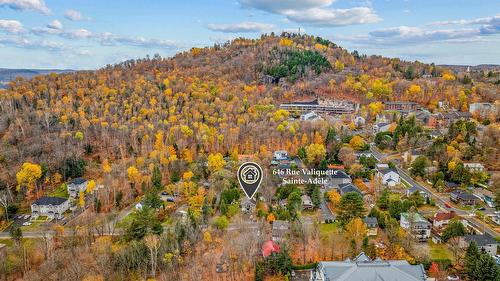 Photo aérienne - 646 Rue Valiquette, Sainte-Adèle, QC - Outdoor With View