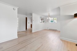 Overall view - 