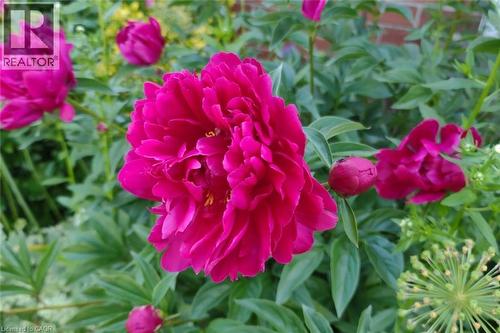 19 East 17Th Street, Hamilton, ON - Outdoor