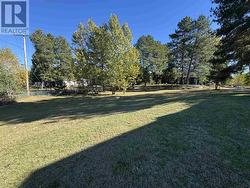 . Low AVE  Gogama, ON P0M 1W0