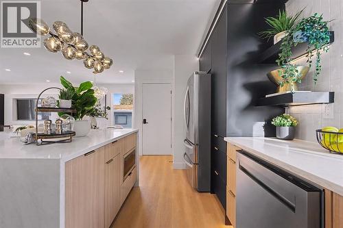 204 Martell Road Ne, Calgary, AB - Indoor Photo Showing Kitchen With Upgraded Kitchen