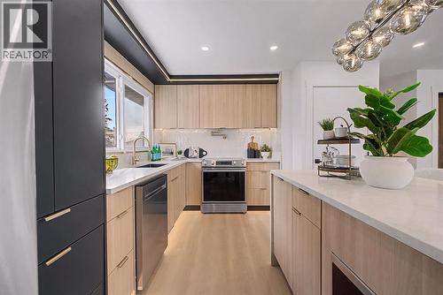 204 Martell Road Ne, Calgary, AB - Indoor Photo Showing Kitchen With Upgraded Kitchen