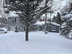 31 Main Street  Embree, NL A0G 3A0