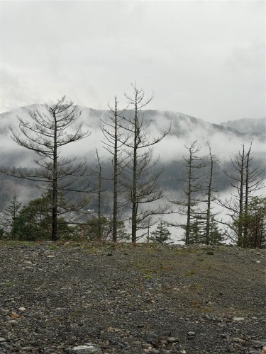 2017 Pinehurst Terr, Langford, BC 