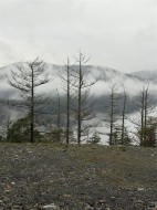 2017 Pinehurst Terr  Langford, BC V9B 3S3