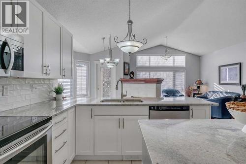 78 Mckenzie Lake Place Se, Calgary, AB - Indoor Photo Showing Kitchen With Double Sink With Upgraded Kitchen
