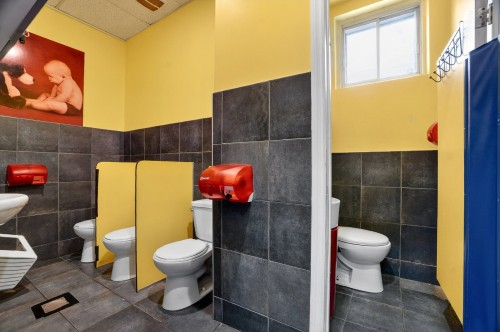 Salle de bains - 4444 Rue Bélanger, Montréal (Rosemont/La Petite-Patrie), QC - Indoor Photo Showing Bathroom