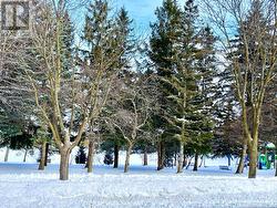 The beautiful park & playground across the street - 