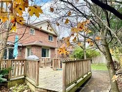 Backyard before the snow - 