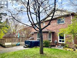 Backyard before the snow - 