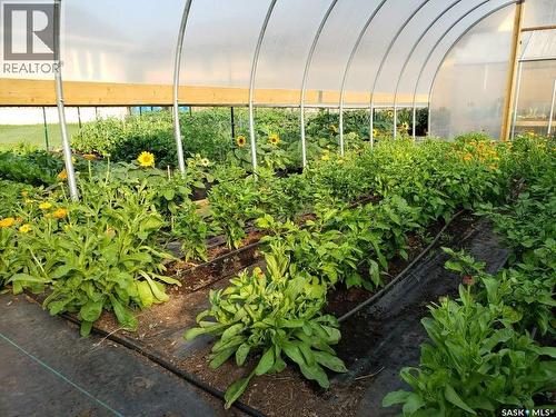 233 High Avenue, Saltcoats, SK - Outdoor