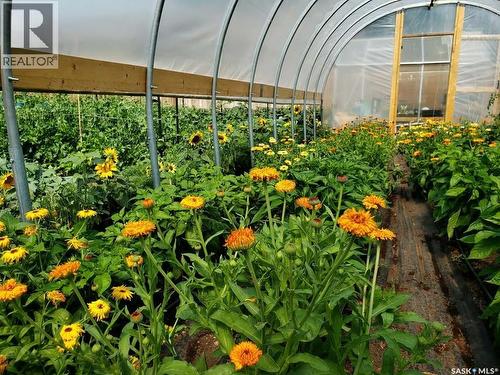 233 High Avenue, Saltcoats, SK - Outdoor