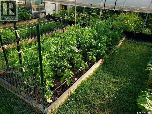 233 High Avenue, Saltcoats, SK - Outdoor