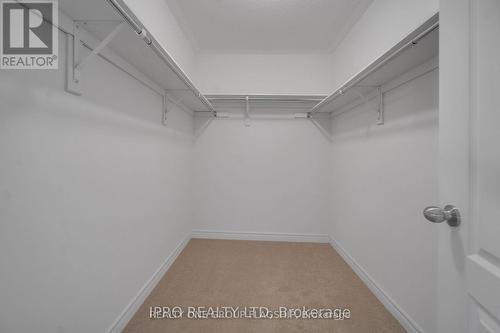 3950 Koenig Road, Burlington, ON - Indoor With Storage