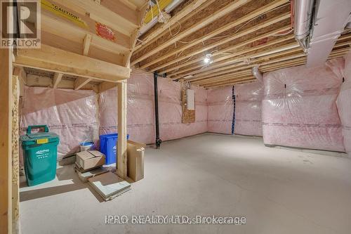 3950 Koenig Road, Burlington, ON - Indoor Photo Showing Basement