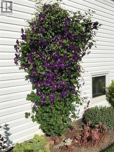 164 Mt Crandell Crescent W, Lethbridge, AB - Outdoor With Exterior