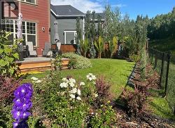 Summer Backyard Picture - 