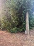 160 Harlech Rd, Qualicum Beach, BC 