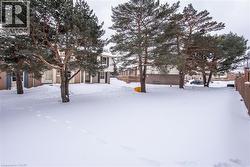 View of yard covered in snow - 
