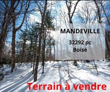 Ch. du Rock  Mandeville, QC J0K 1L0