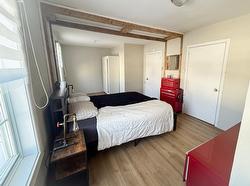 Chambre à coucher principale - 