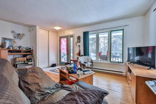 Salon - 32 Ch. De La Ferme, Messines, QC - Indoor Photo Showing Living Room