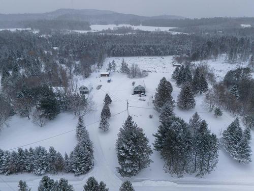 Vue d'ensemble - 32 Ch. De La Ferme, Messines, QC - Outdoor With View