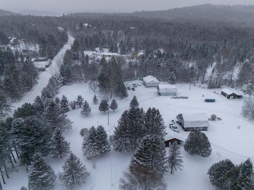 Vue d'ensemble - 32 Ch. De La Ferme, Messines, QC - Outdoor With View