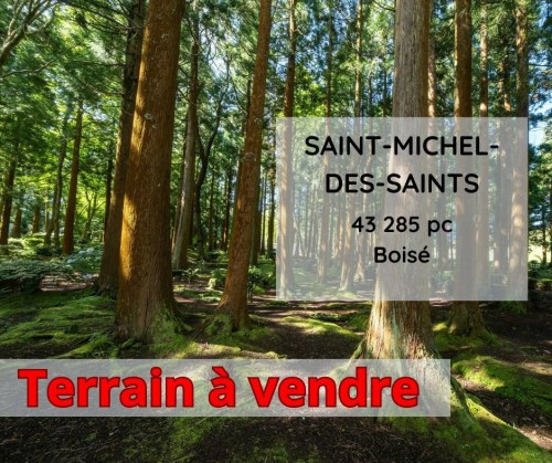 Terre/Terrain - Ch. Édane, Saint-Michel-Des-Saints, QC 