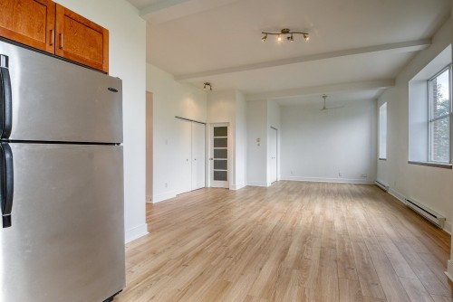 Vue d'ensemble - 302-795 1Re Avenue, Montréal (Lachine), QC - Indoor