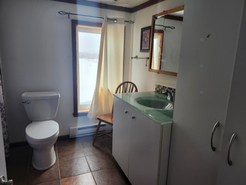 Salle de bains - 1405 Ch. De Moffet-Laforce, Moffet, QC 