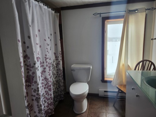 Salle de bains - 1405 Ch. De Moffet-Laforce, Moffet, QC 