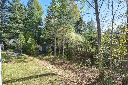 Cour - 565 Rue Des Plaines, Sainte-Adèle, QC - Outdoor