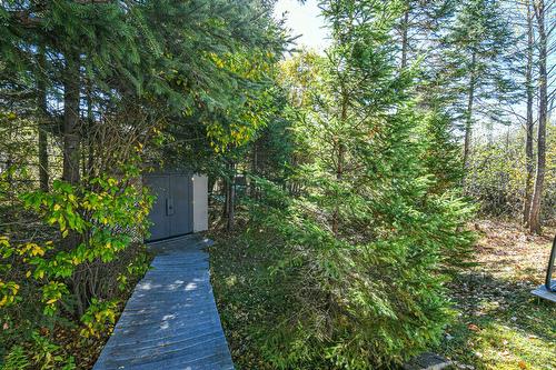 Cour - 565 Rue Des Plaines, Sainte-Adèle, QC - Outdoor